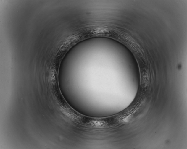 X0000100840654200806271113