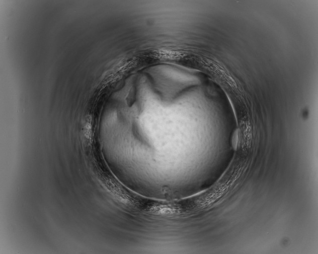 X0000100840655200806271113