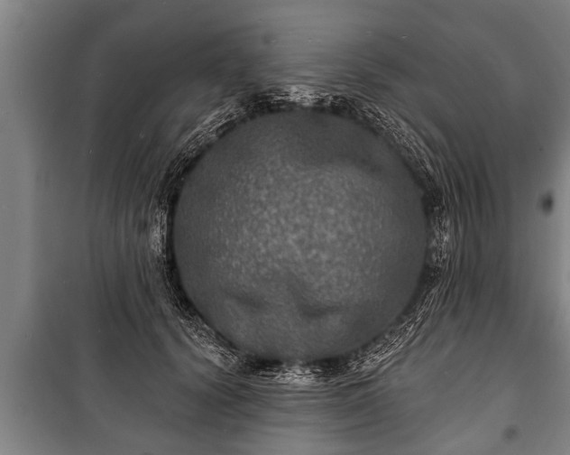 X0000100840656200806271113