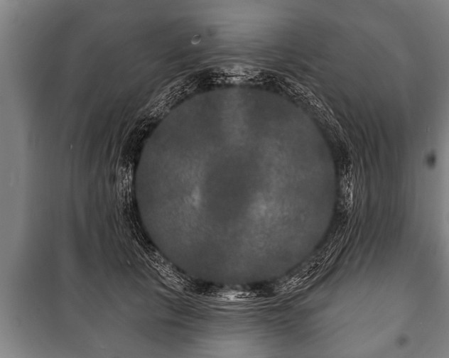 X0000100840657200806271113