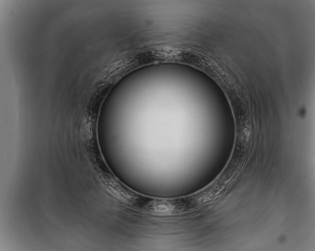 X0000100840658200806271113