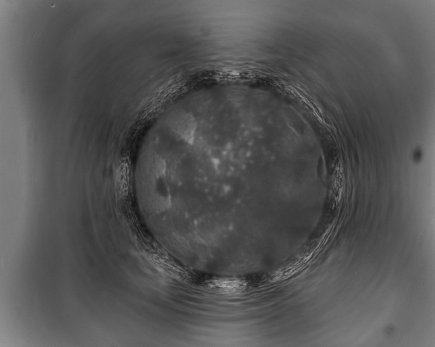 X0000100840659200806271113