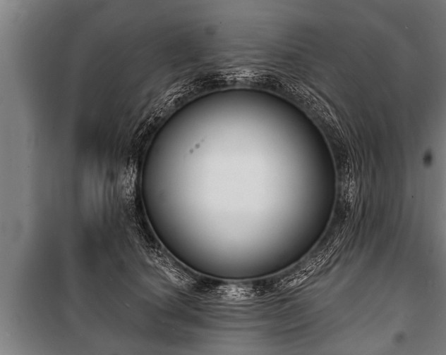 X0000100840660200806271113