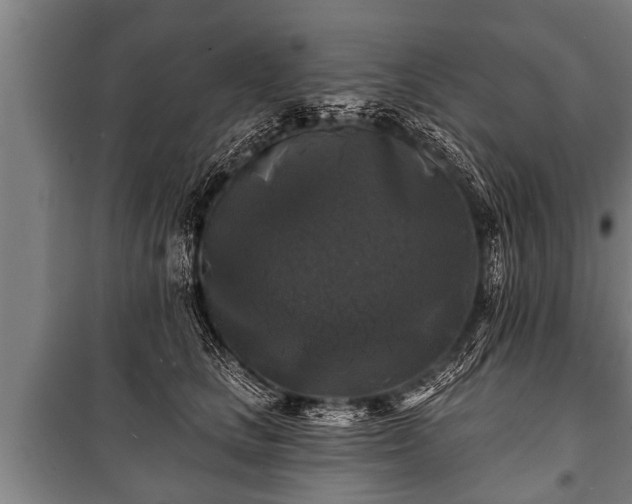 X0000100840661200806271113