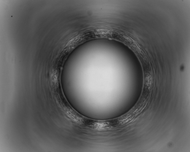 X0000100840662200806271113