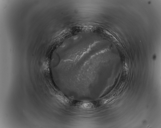 X0000100840663200806271113