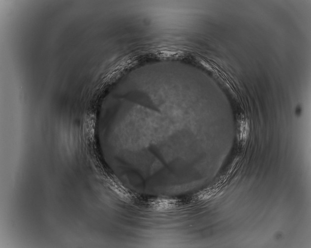 X0000100840664200806271113