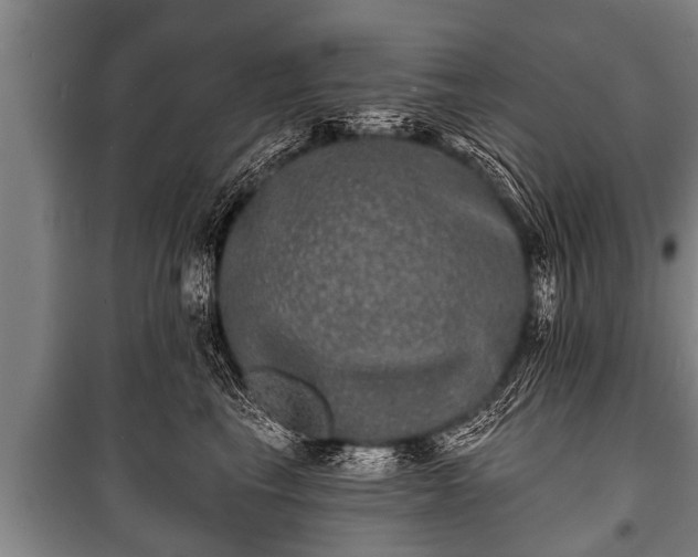 X0000100840665200806271113