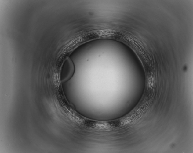 X0000100840666200806271113