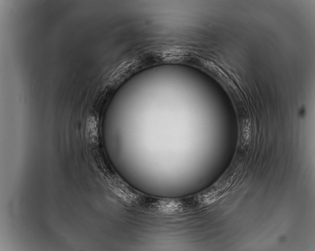 X0000100840667200806271114