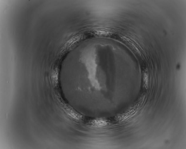 X0000100840668200806271114