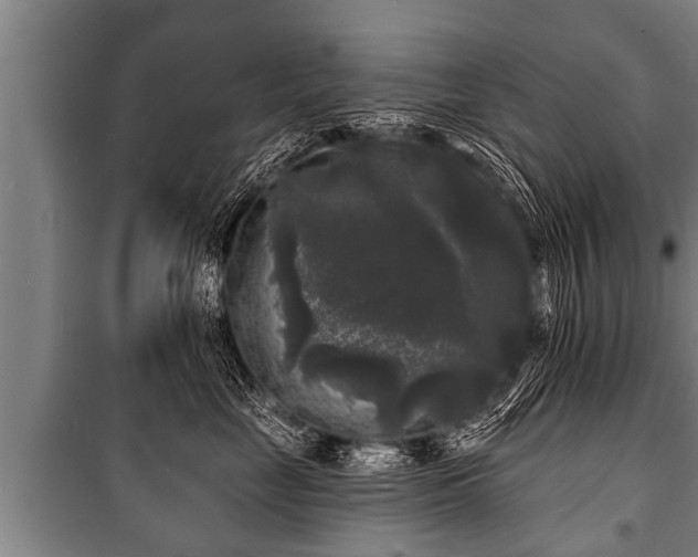 X0000100840669200806271114