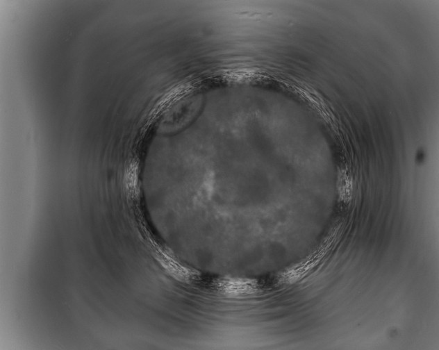 X0000100840670200806271114