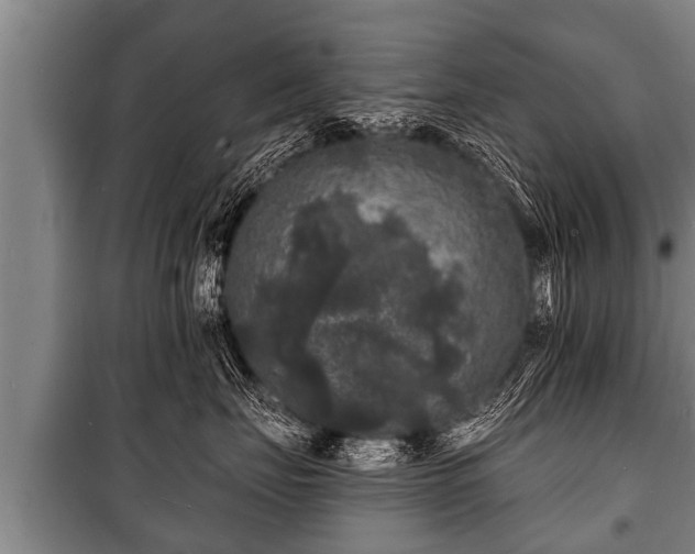 X0000100840671200806271114