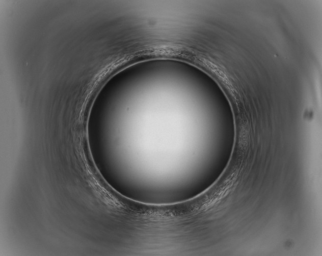 X0000100840673200806271113