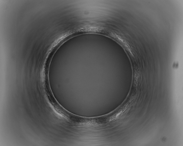 X0000100840674200806271113