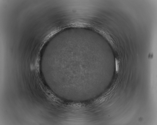 X0000100840675200806271113