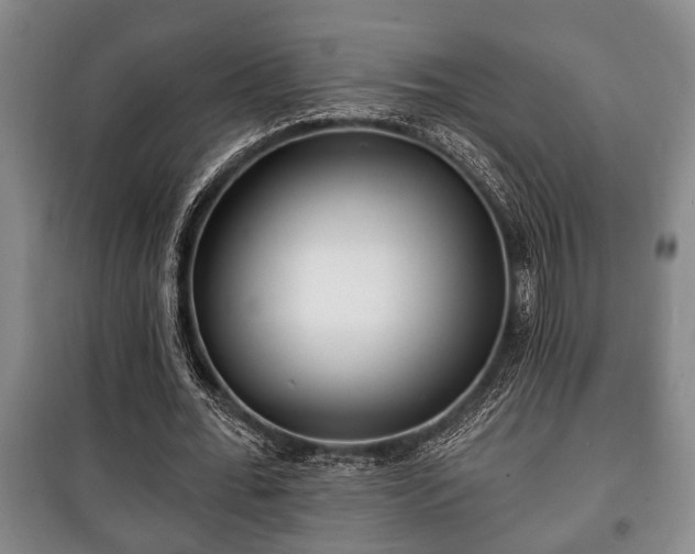 X0000100840676200806271113