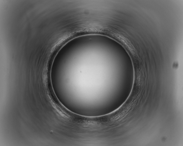 X0000100840677200806271113