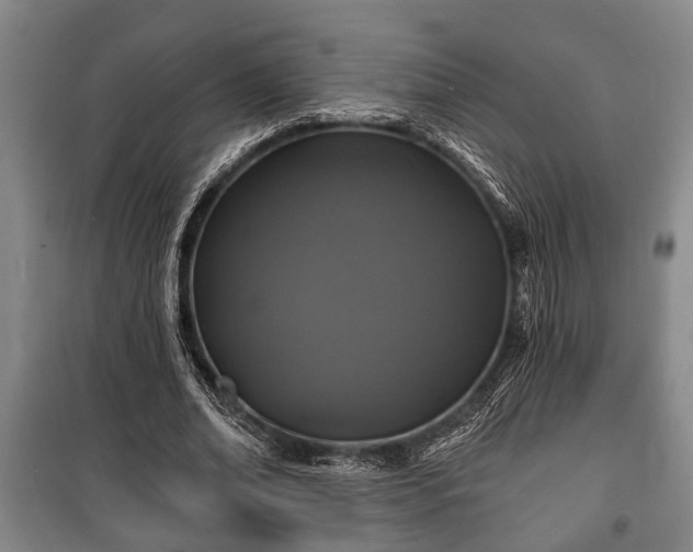 X0000100840678200806271113