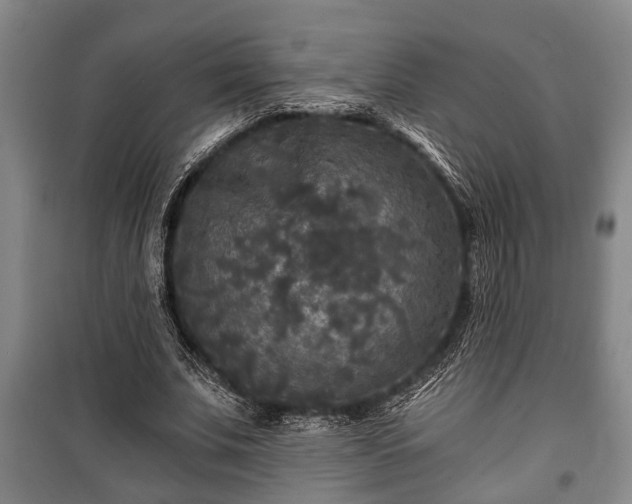 X0000100840679200806271113