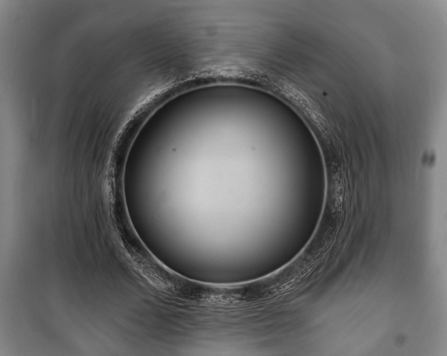 X0000100840680200806271113