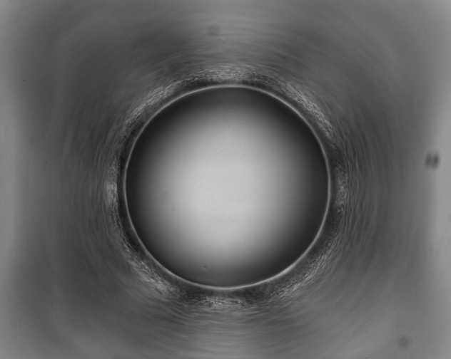 X0000100840681200806271113