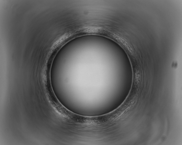 X0000100840682200806271113