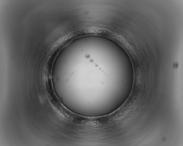 X0000100840683200806271113