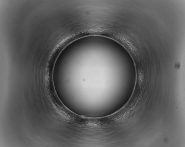 X0000100840684200806271113