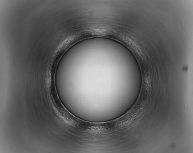 X0000100840686200806271113