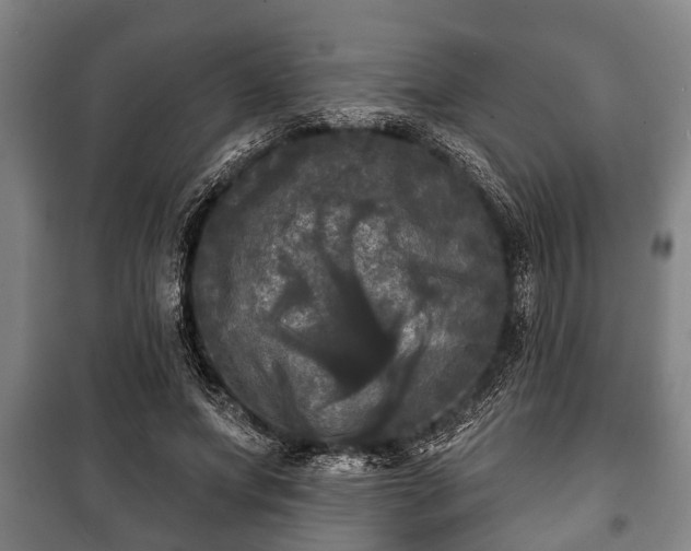 X0000100840687200806271113