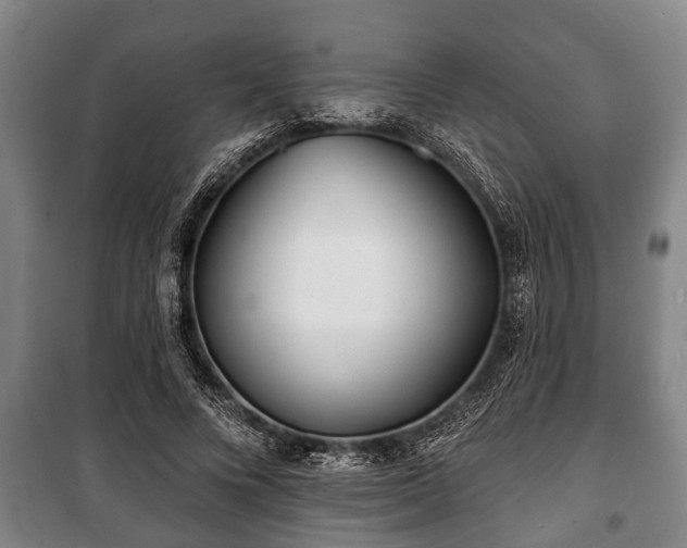 X0000100840688200806271113