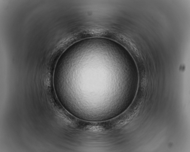 X0000100840689200806271113