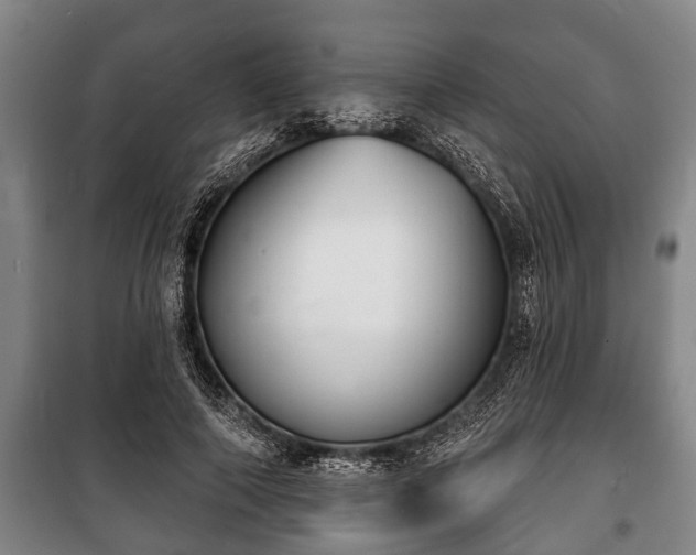 X0000100840690200806271113