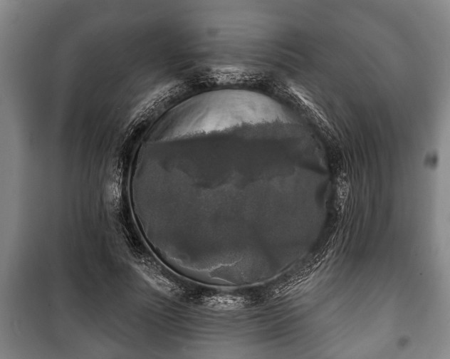 X0000100840691200806271113