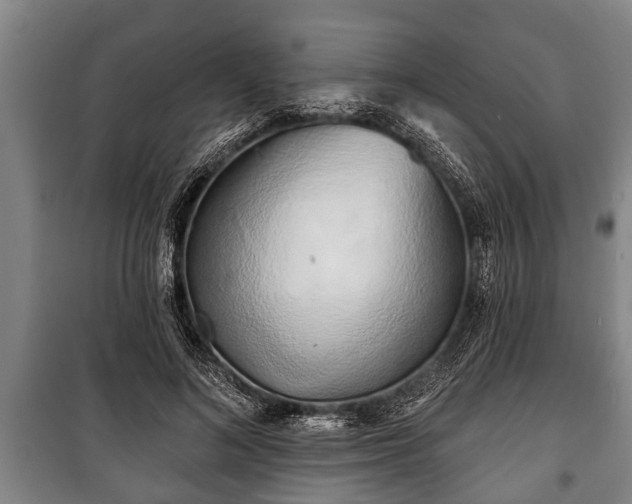 X0000100840692200806271113