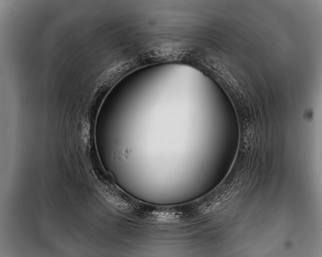 X0000100840693200806271113