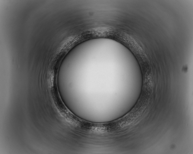 X0000100840694200806271113