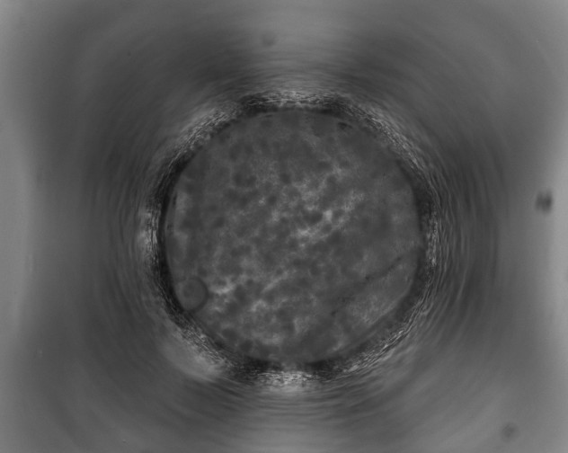 X0000100840695200806271113