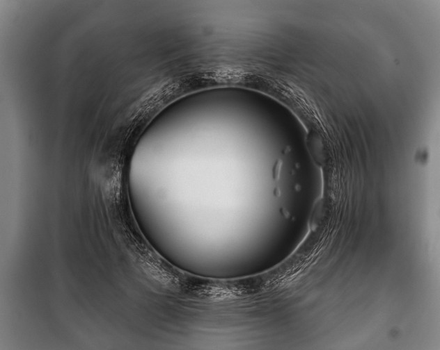 X0000100840697200806271113