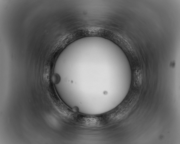 X0000100840698200806271113