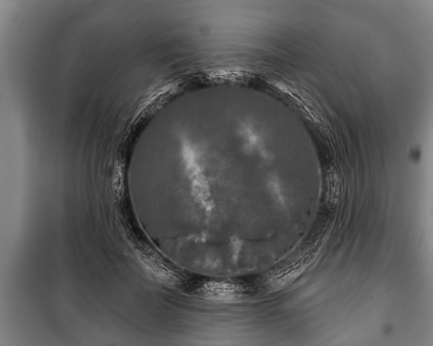 X0000100840699200806271113