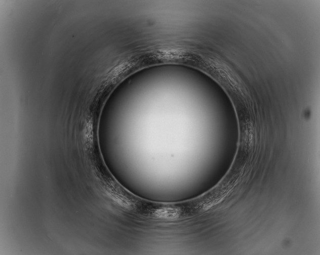 X0000100840700200806271112