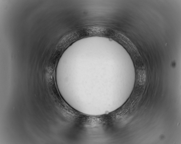 X0000100840701200806271112