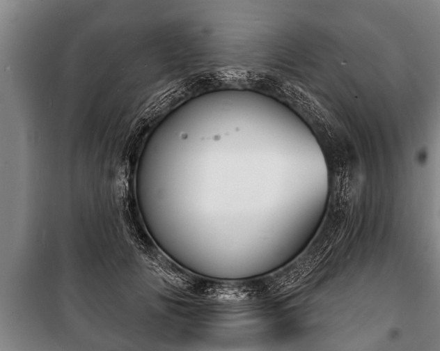 X0000100840702200806271112