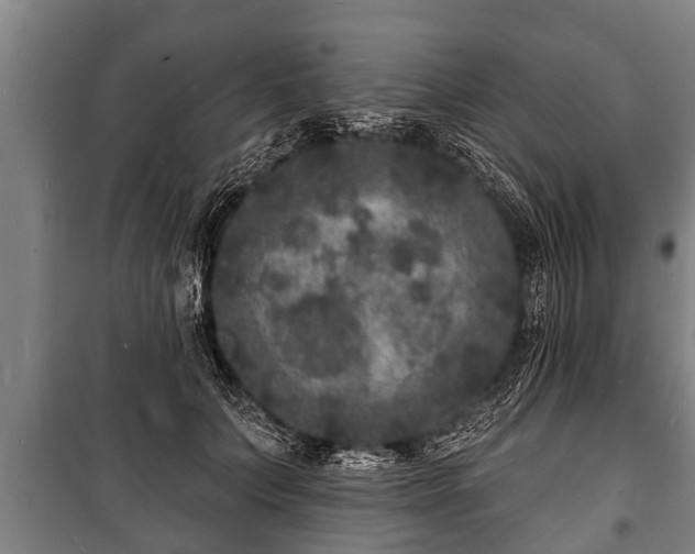 X0000100840703200806271112