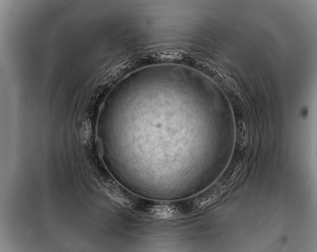 X0000100840704200806271112