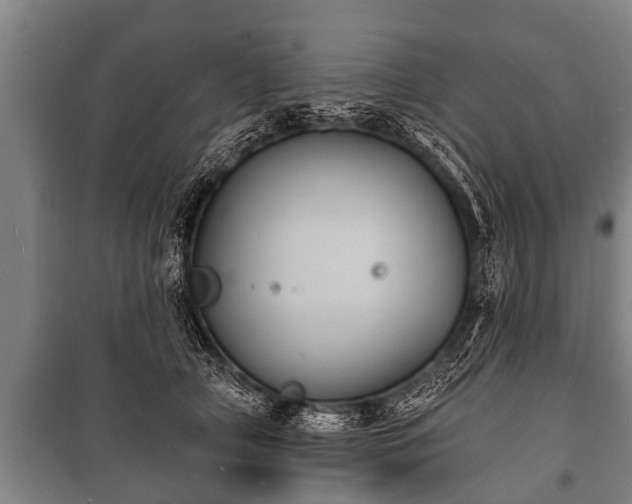 X0000100840706200806271112