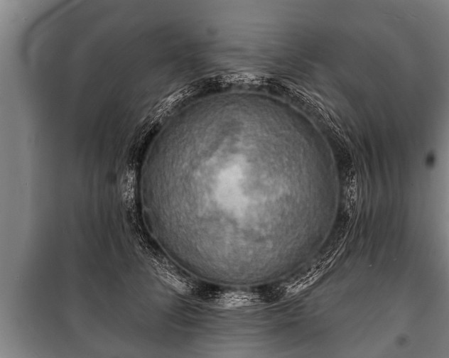 X0000100840708200806271112